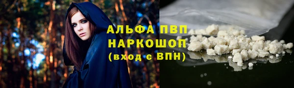 метадон Богданович