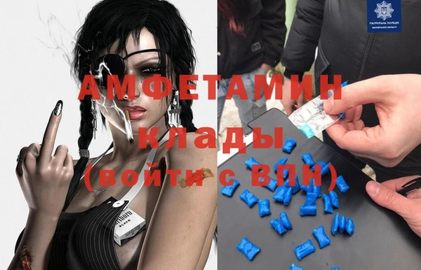 метадон Богданович