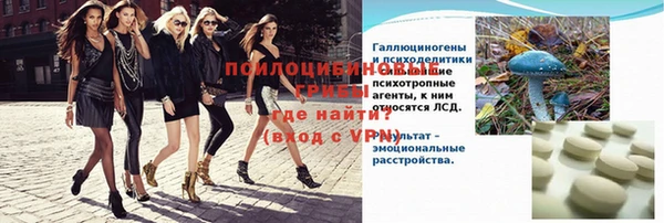 метадон Богданович
