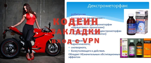 метадон Богданович