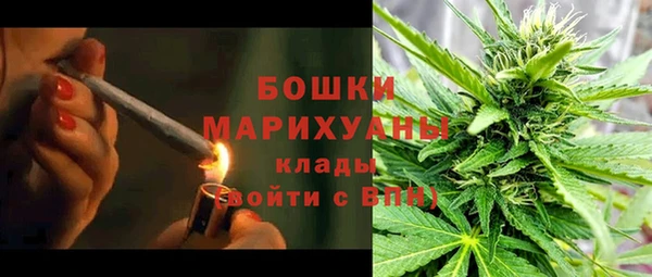 метадон Богданович