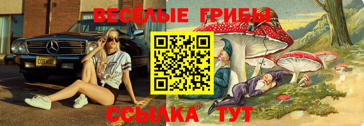 Галлюциногенные грибы прущие грибы Среднеуральск